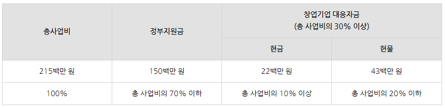 정부지원사업 : 혁신분야 창업패키지(비대면)