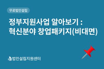 정부지원사업 : 혁신분야 창업패키지(비대면)