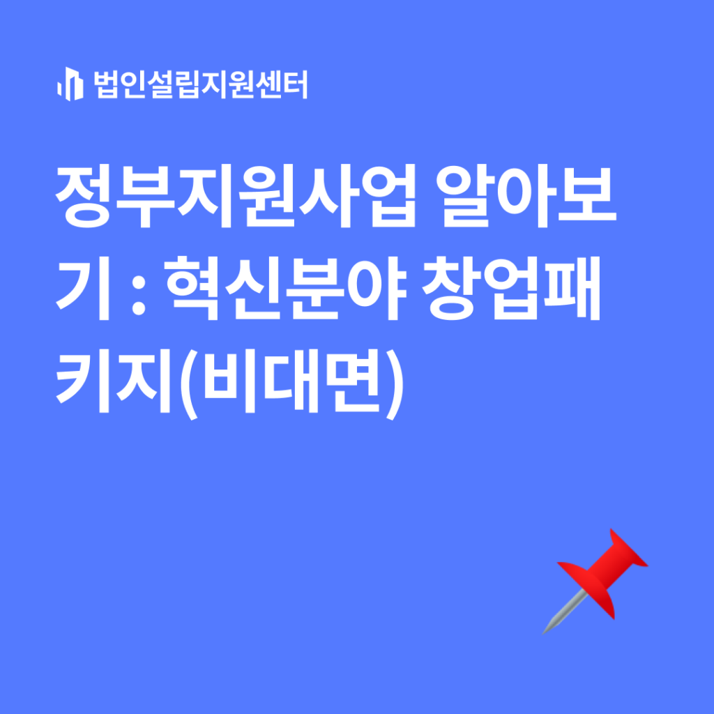 정부지원사업 : 혁신분야 창업패키지(비대면)